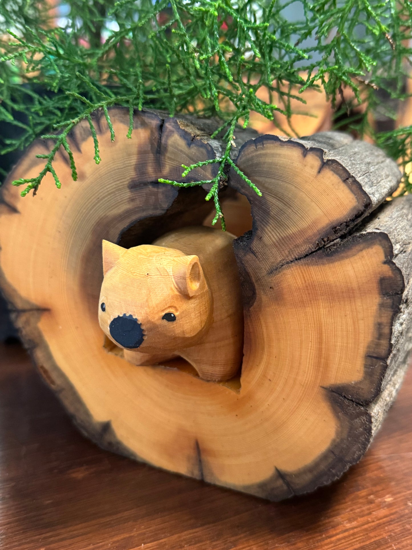 Single Huon Pine Burrow Burrow with Mini Wombat | Tasmanian Gift Idea