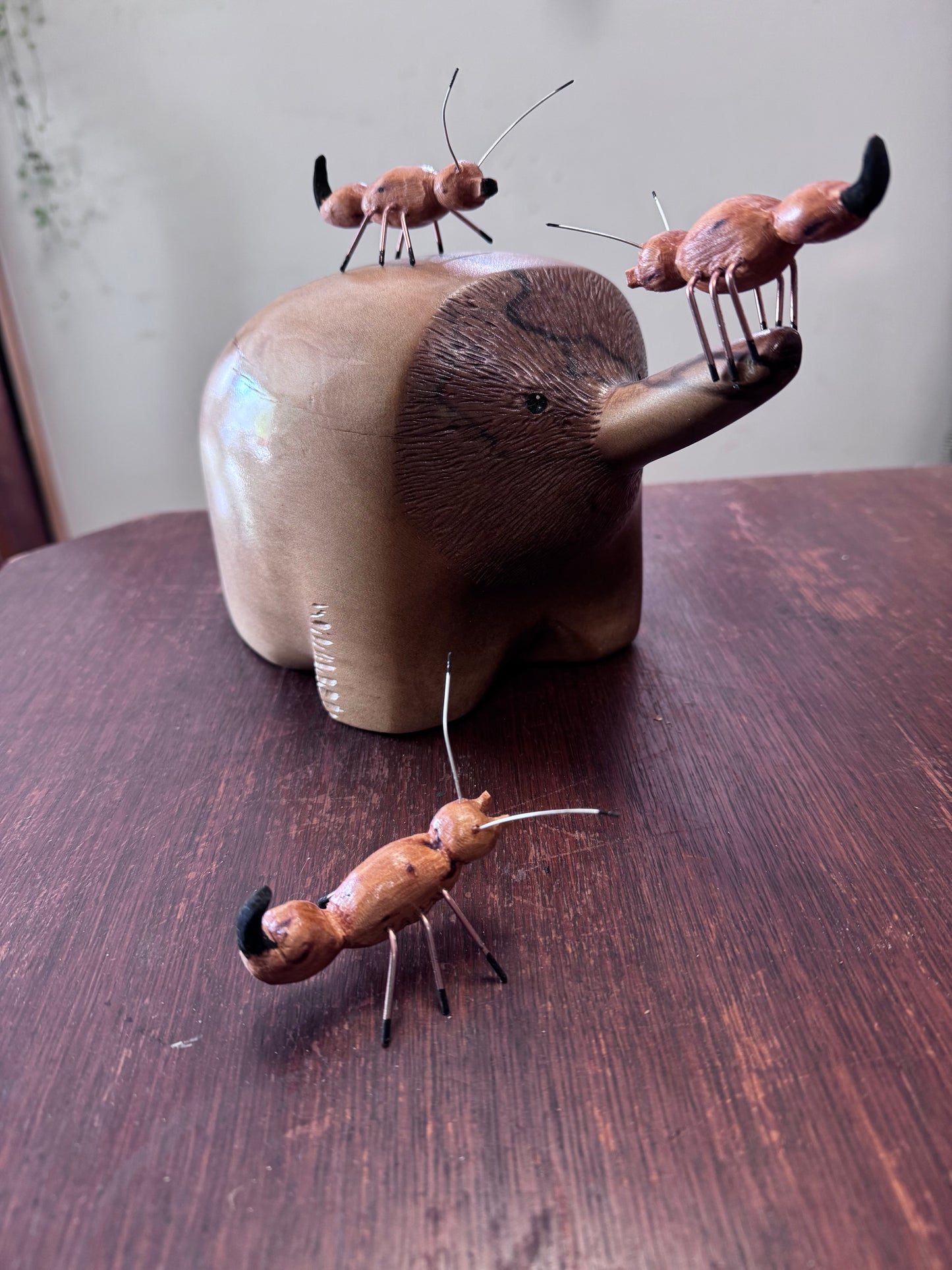Robs Echidna and Ants