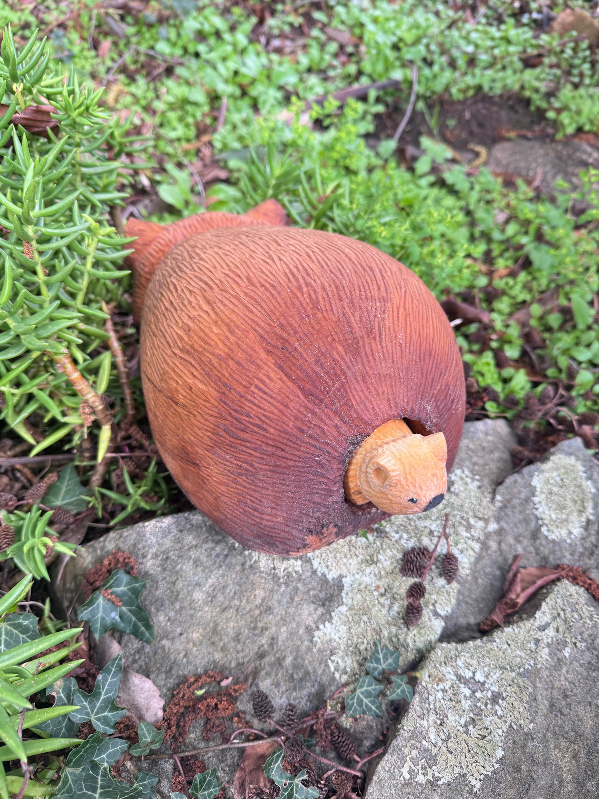 Vivian Mother wombat