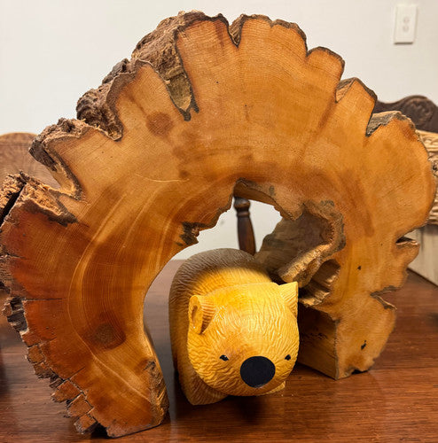 Extra Large Ancient Burrow with Wombat