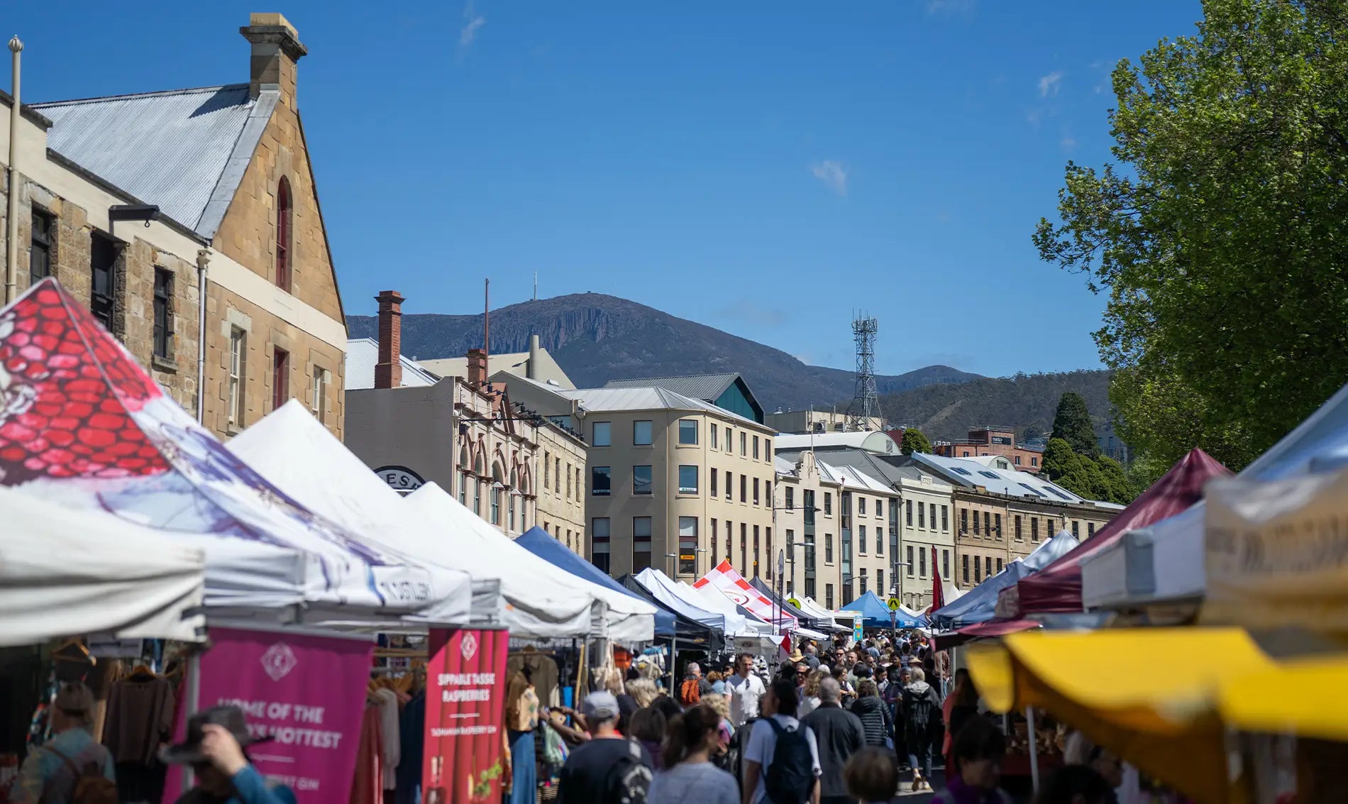 huon pine hand crafted sculpture tasmania