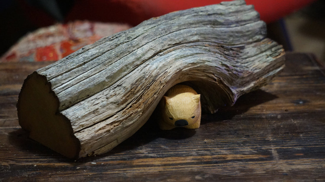 Tasmania's Beloved Huon Pine Wombats and the Creators.