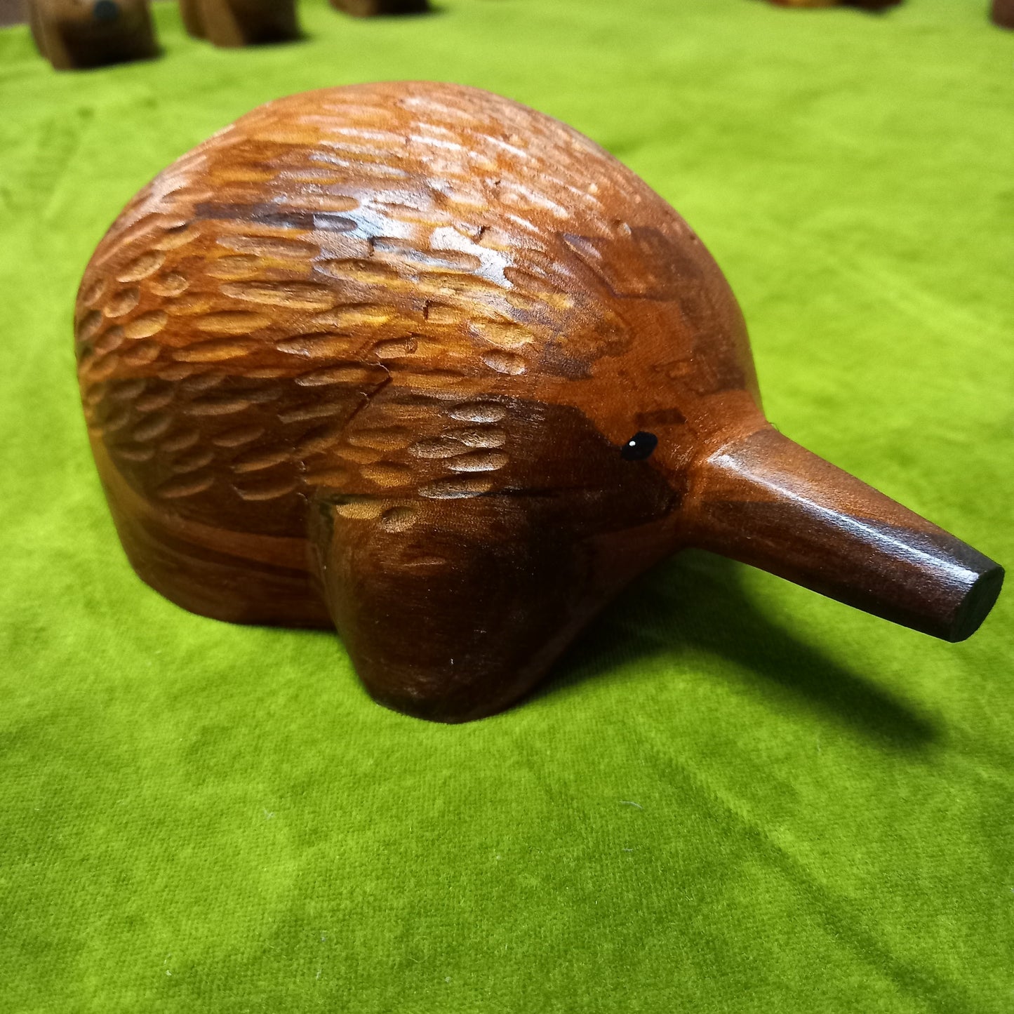 Echidna - medium image 1