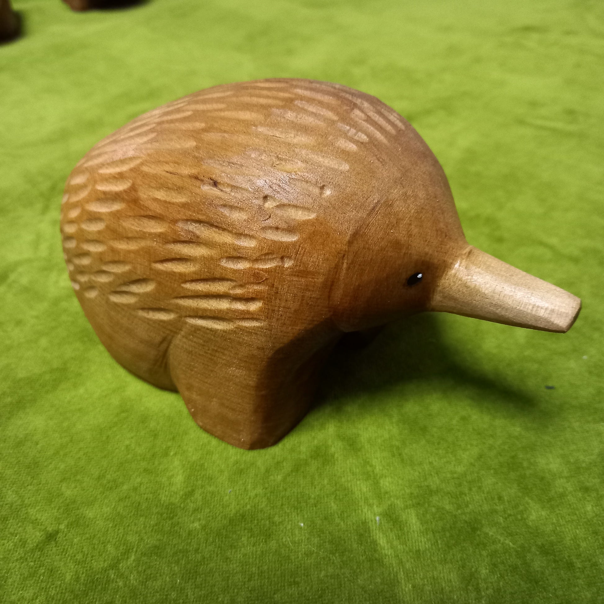 Echidna - medium image 0