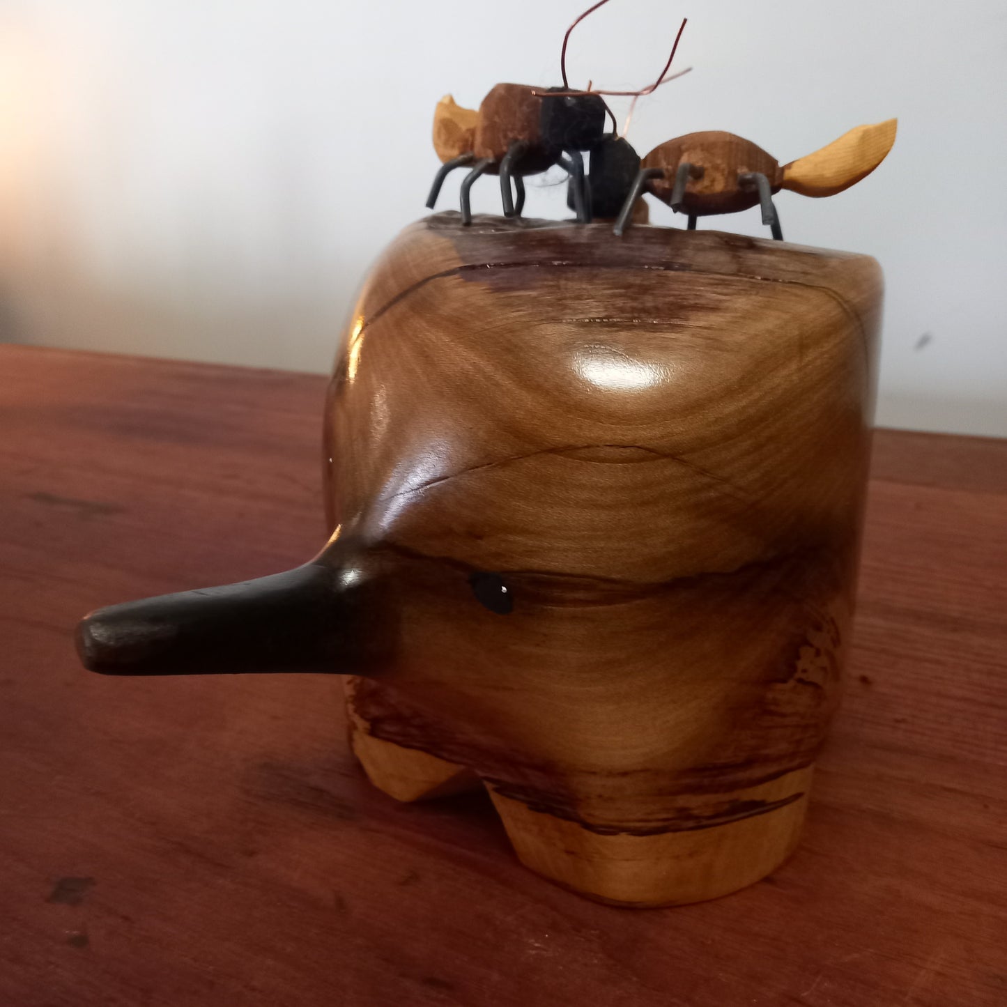 Echidna - Large image 0