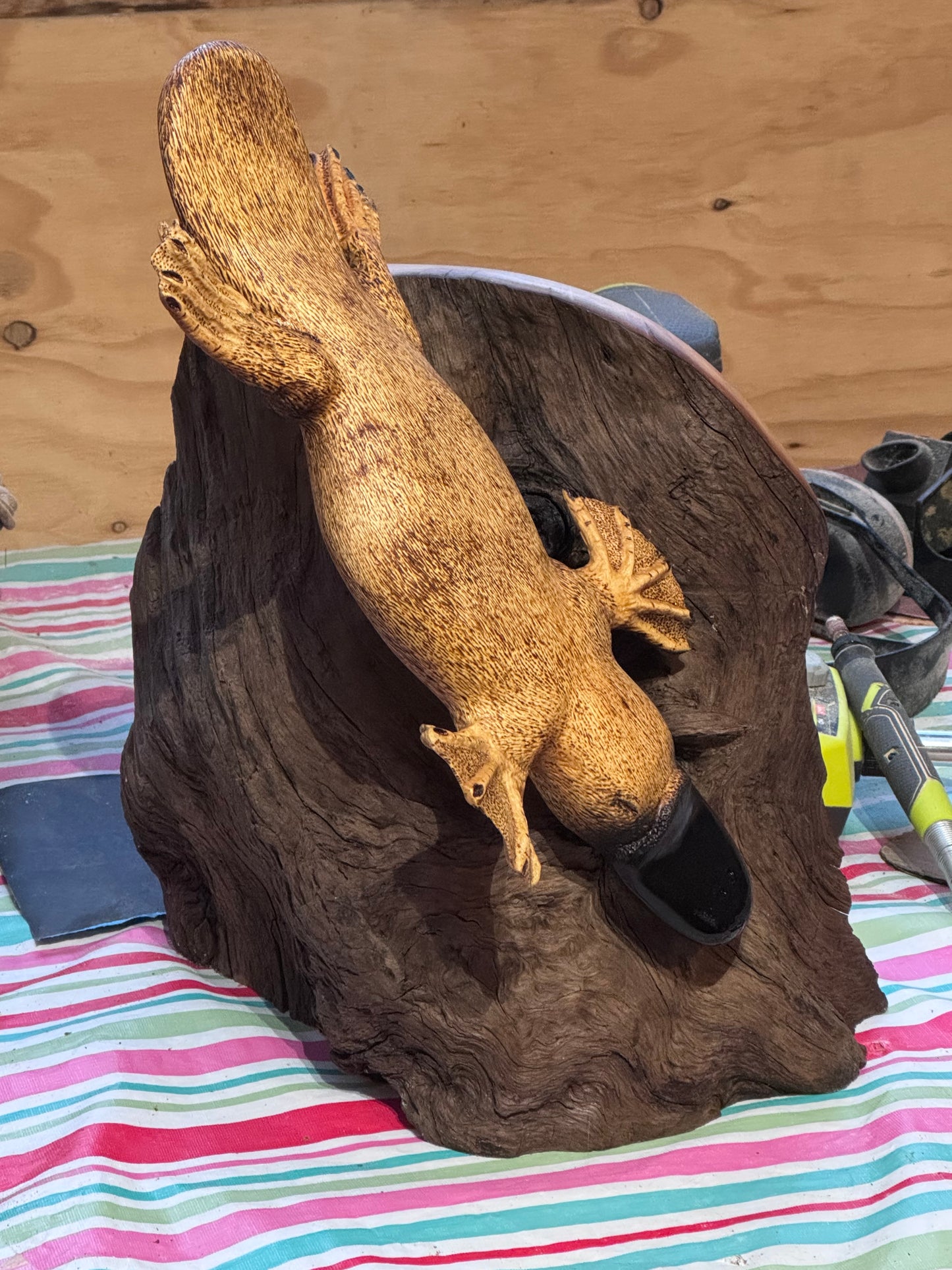 Robs Platypus