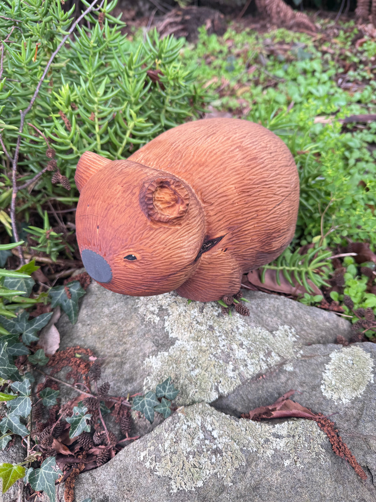 Vivian Mother wombat