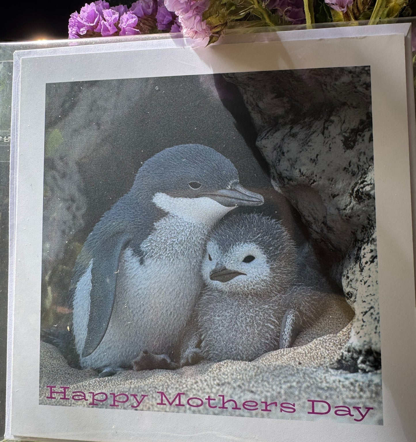 Mothers Day Card - Penguins image 0